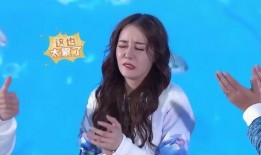 艺兴热巴爆料视频事件,真相与争议交织