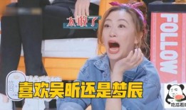 真实爆料董洁视频大全集,揭秘娱乐圈不为人知的真相